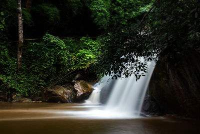 Scenic view of water in forest