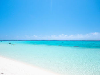 Scenic view of beach against blue sky