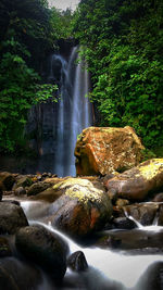 View of waterfall in forest