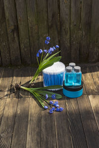 High angle view of flowering plants on wooden table