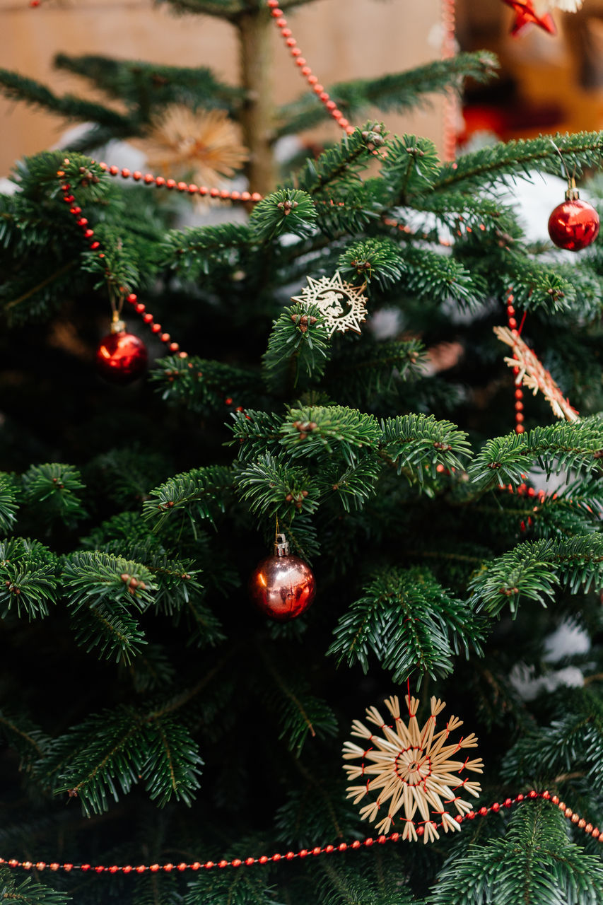 holiday, christmas, christmas tree, celebration, tree, christmas decoration, decoration, tradition, christmas ornament, plant, branch, christmas lights, no people, fir, nature, green, hanging, event, indoors, coniferous tree, illuminated, interior design, spruce, pinaceae, fir tree, close-up, focus on foreground, pine tree, winter