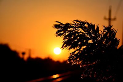 Close-up of silhouette tree against sky during sunset