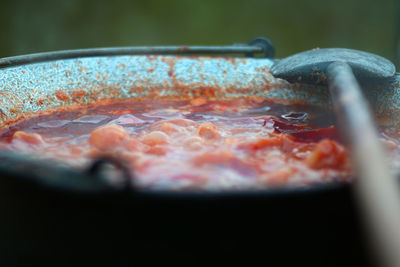 Close-up of meat in container