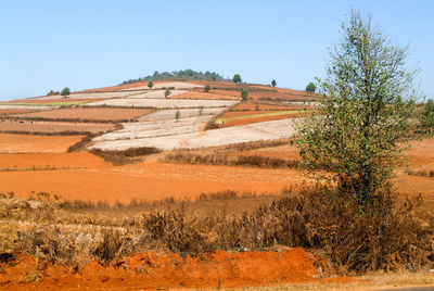 View of landscape against clear sky