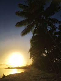 Silhouette palm tree by sea against sky at sunset