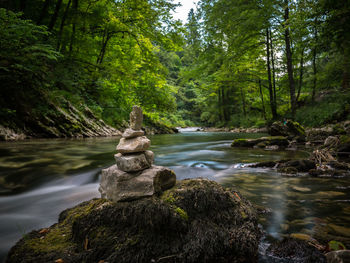 Scenic view of river flowing in forest