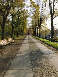 Footpath amidst trees in park