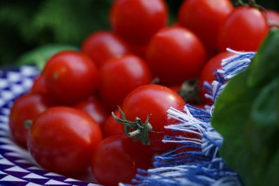 Close-up of tomatoes