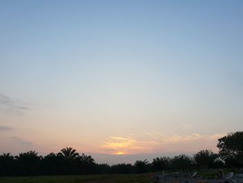 Silhouette trees on field against sky during sunset