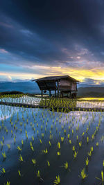 Built structure on rice paddy against cloudy sky