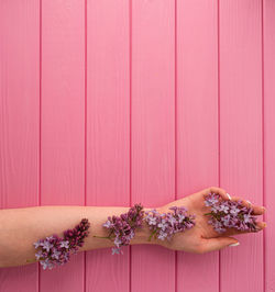 Cropped hand of person cutting board