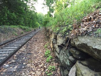 Railroad track in forest