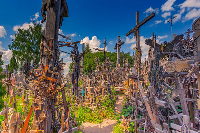 Plants growing on field against sky