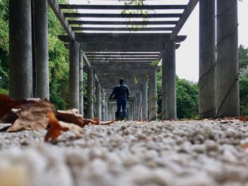 Rear view of person walking under bridge