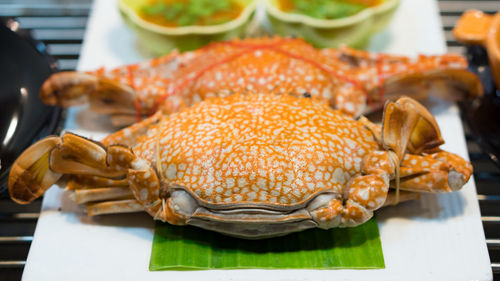 Close-up of meal served on table