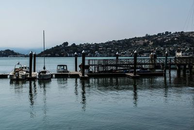 Boats in marina at harbor against clear sky