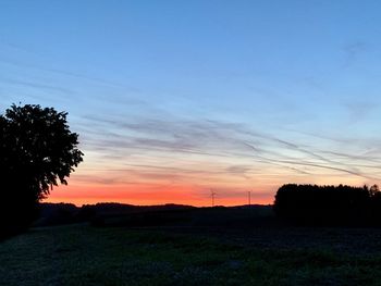 Silhouette trees on field against sky during sunset