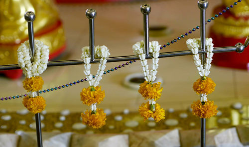 Close-up of yellow flowers hanging on metal
