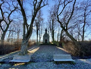 Statue of bare trees against sky