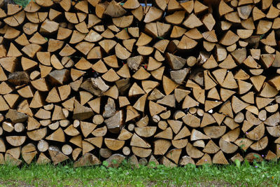 firewood