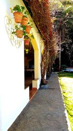 Footpath amidst trees and houses against sky