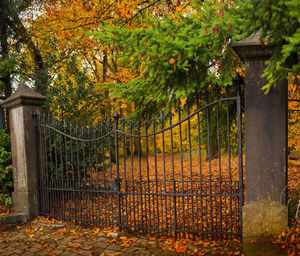 Fence by trees during autumn