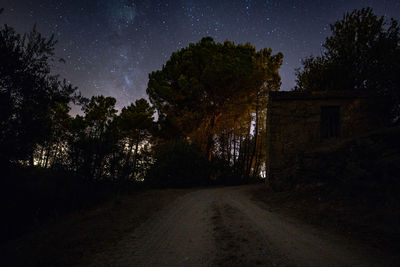 Trees by road against sky at night