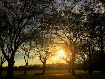 Silhouette of bare trees on field