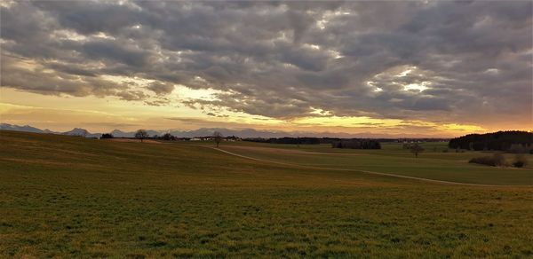 Scenic view of field against sky during sunset