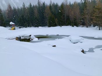 Snow covered field against trees