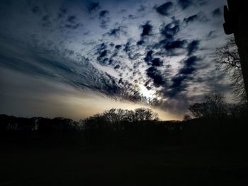 Silhouette trees on field against sky at sunset