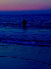 Silhouette bird on beach against sky during sunset