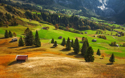 Scenic view of green landscape