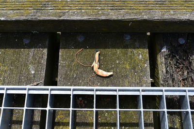 Low section of man hanging on wood