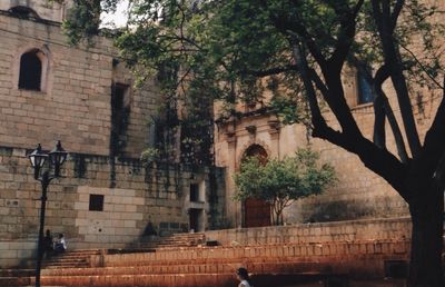 Trees in front of building