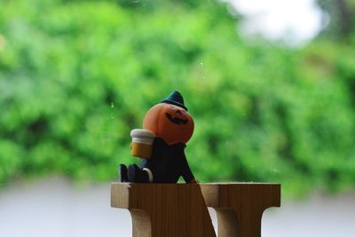 Close-up of stuffed toy on wood