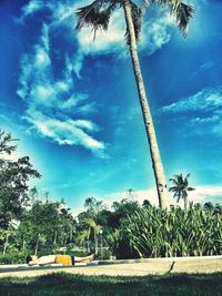 Low angle view of palm trees against cloudy sky