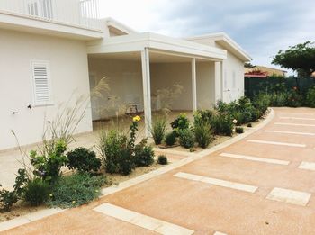 Plants growing in front of house against sky