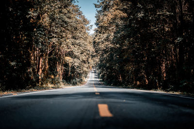 Road amidst trees seen through car windshield