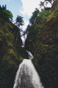Scenic view of waterfall in forest against sky