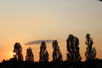 Silhouette trees on field against sky during sunset