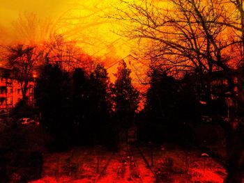 Silhouette trees in forest during sunset