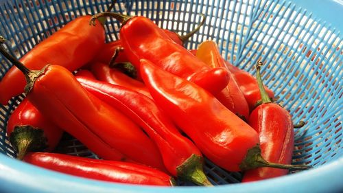 High angle view of chili peppers in container