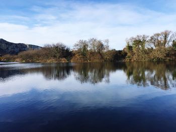 Scenic view of lake by trees against sky