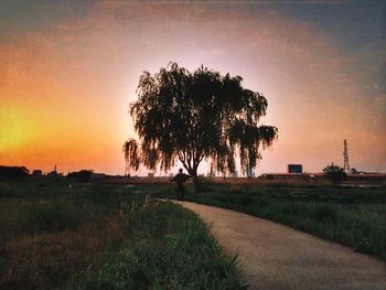 Scenic view of grassy field against sky at sunset