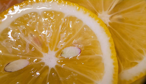 Full frame shot of lemon