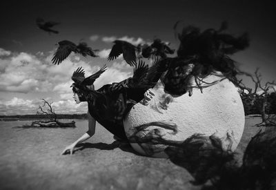 Close-up of plant on beach