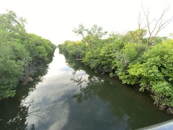 Scenic view of river amidst trees in forest against sky