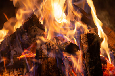 Close-up of bonfire at night