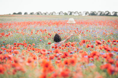 Close-up of flowering plants on field against sky